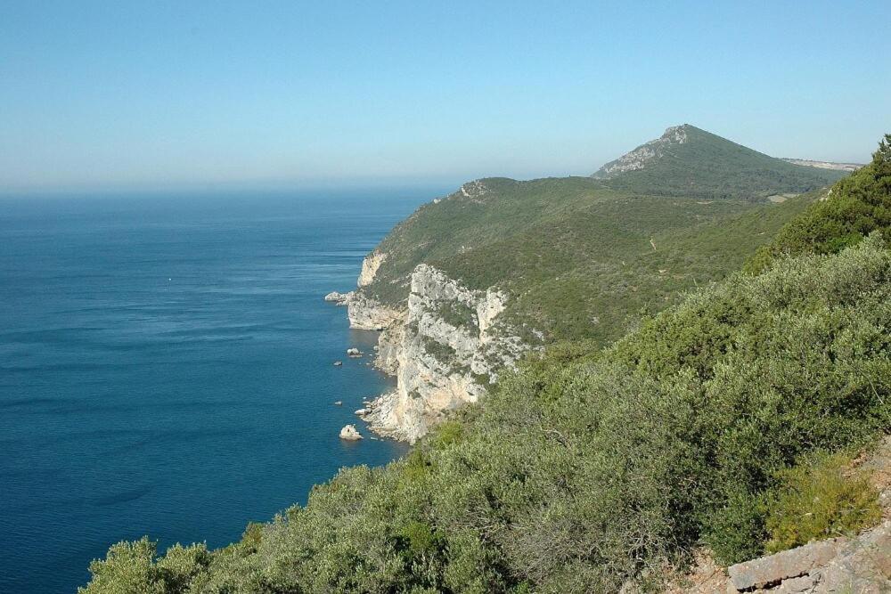Best Location Duplex Setúbal Kültér fotó